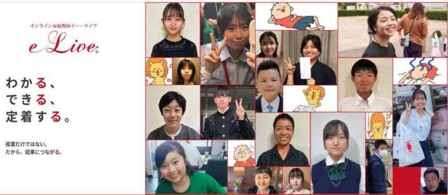 東大生や医学部生が所属するSランク講師の指導料とシステム費用の内訳を示す図