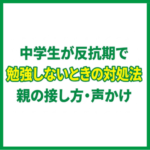 中学生が反抗期で勉強しないときの対処法｜親の接し方・声かけ